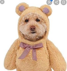 2/$10 Small Teddy Bear Costume for Pet
